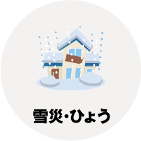 雪災･ひょう